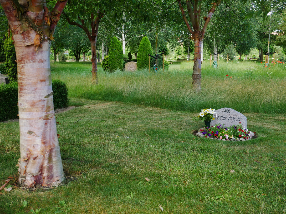 Nyborg Assistenskirkegård parkafdeling